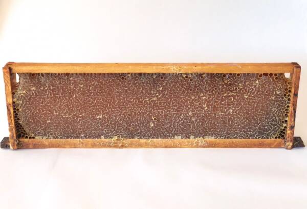 Honeycomb Full Frame